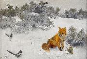 bruno liljefors Fox in Winter Landscape oil on canvas